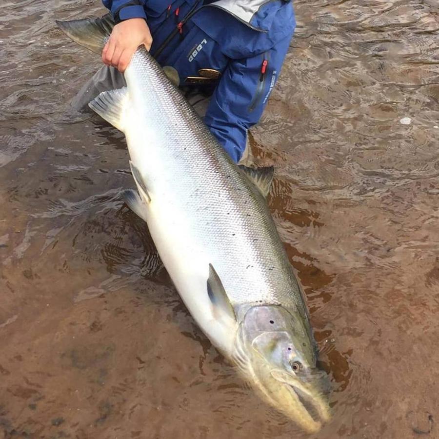 Jockfall Fishing And Activities - Oeverkalix Extérieur photo